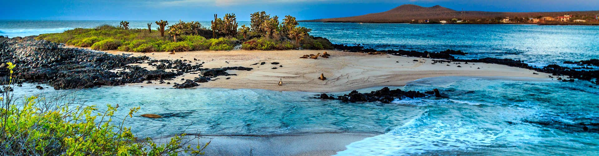 Nature Unfiltered: Your Definitive Guide to Galapagos Island Cruises